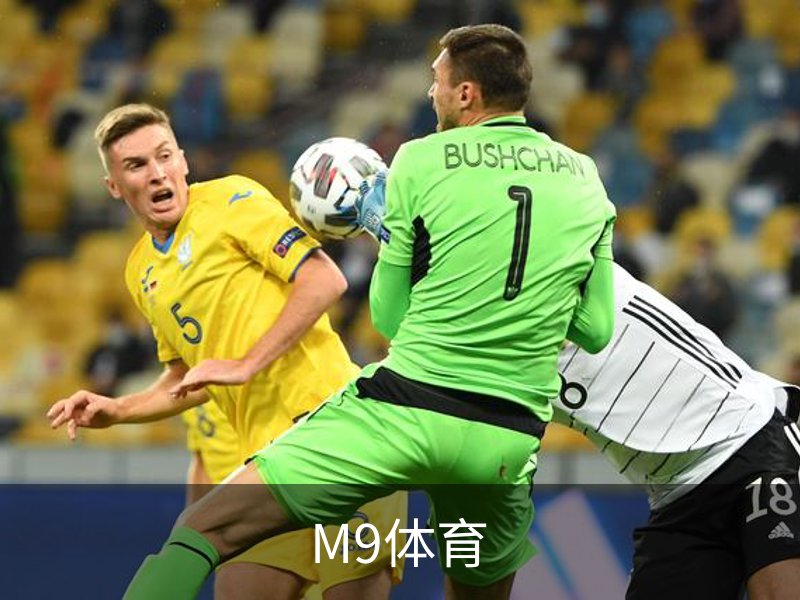 M9体育简介